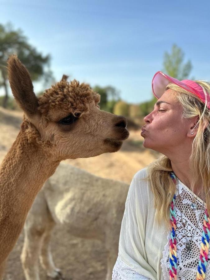 Alpaca Farm And B&B - Mama Adama 그란돌라 외부 사진